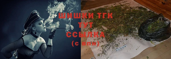 прущие грибы Костерёво