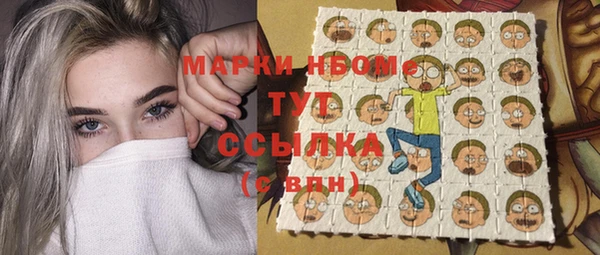 прущие грибы Костерёво