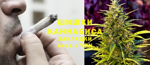 прущие грибы Костерёво