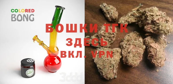 прущие грибы Костерёво