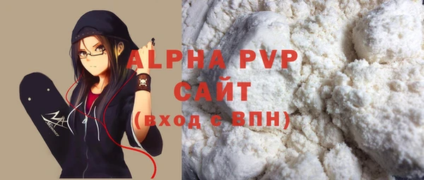 прущие грибы Костерёво