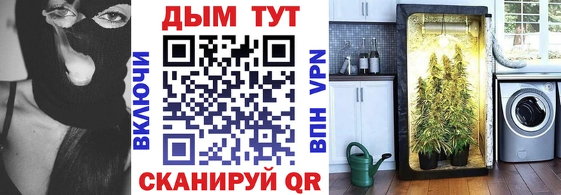 где можно купить   Михайловка  Канабис MAZAR 